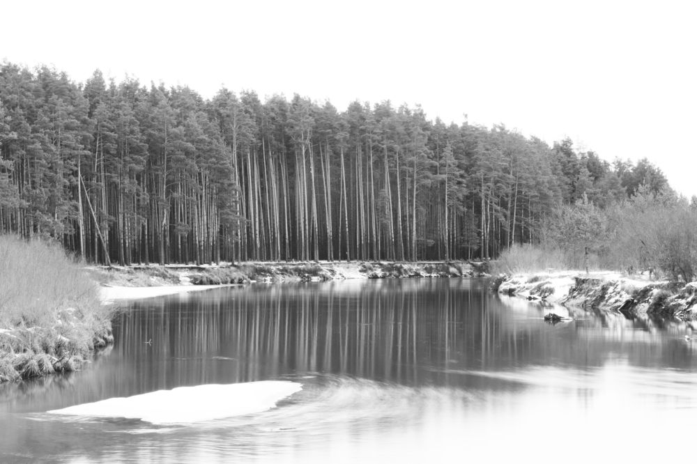 Photograph by Чудинин Дмитрий