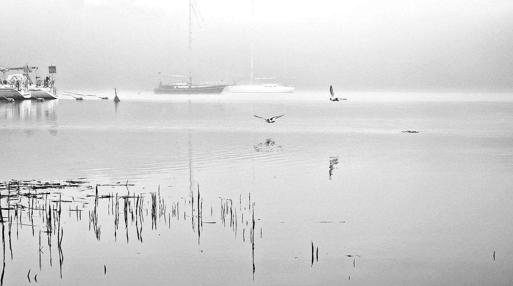 Photograph by Epp Tappel