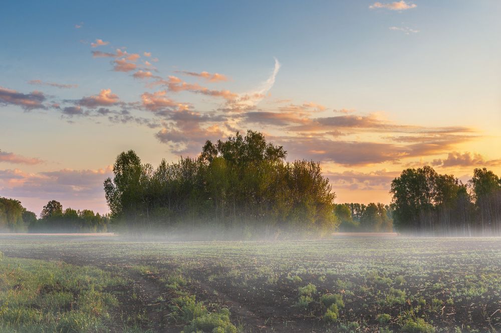 Когда уже не спится ...