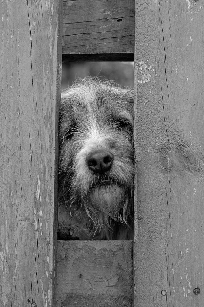 Photograph by Miguel Iglesias