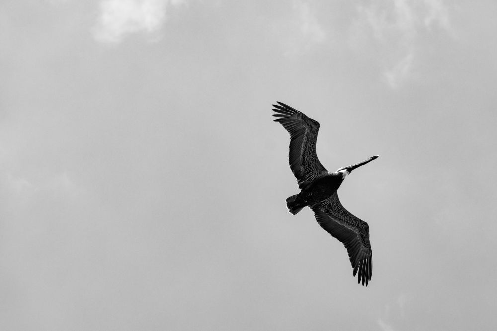 Photograph by Jaime Trejo