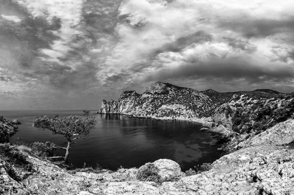 Photograph by Андрей Пшеничников