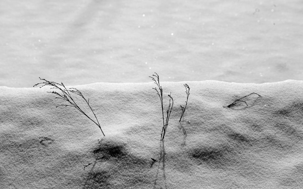 Photograph by Жанна Валиева