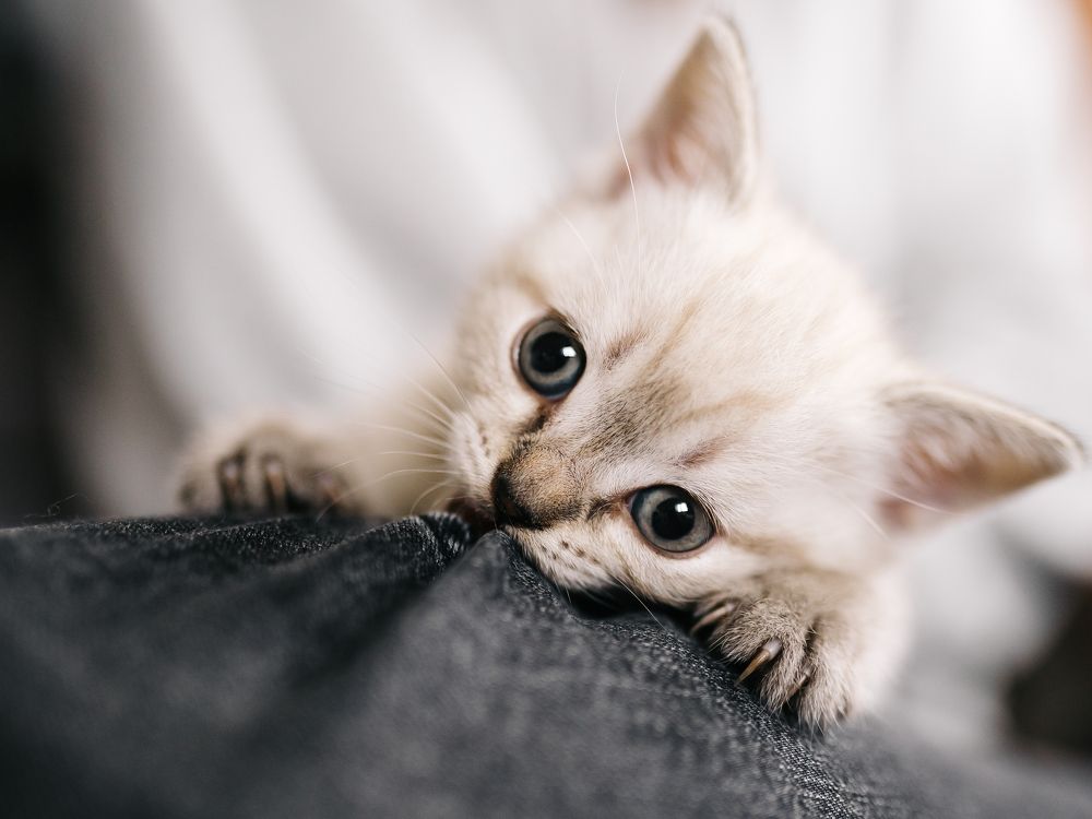 Photograph by Nadeshda Weber