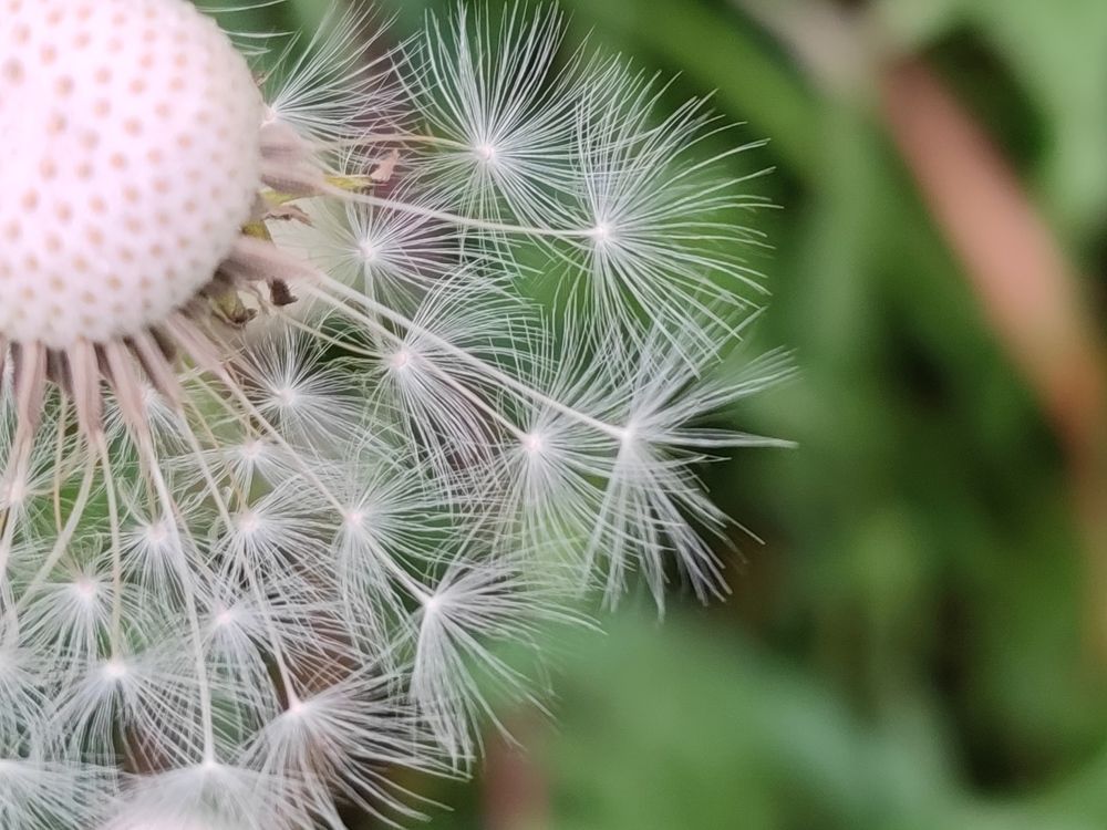 Photograph by Екатерина Харитонова