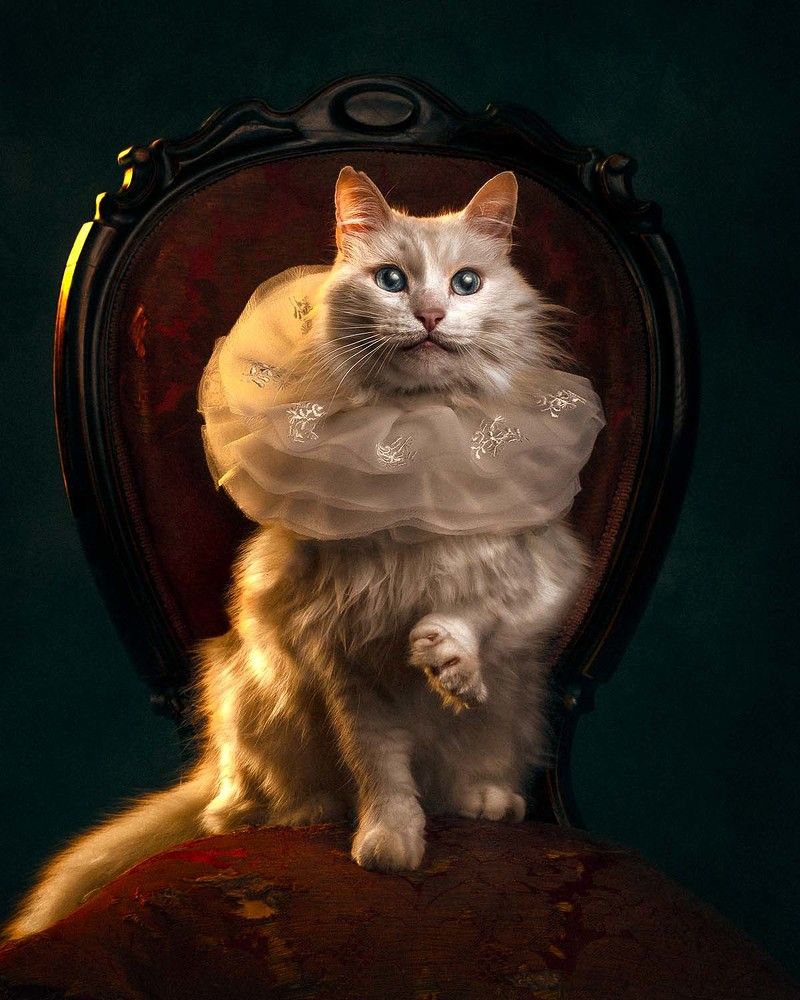 Photograph by Analia Daguerre