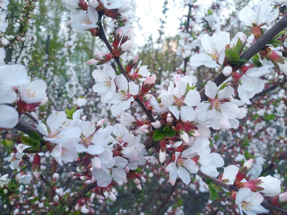 Photograph by Инна Голубева