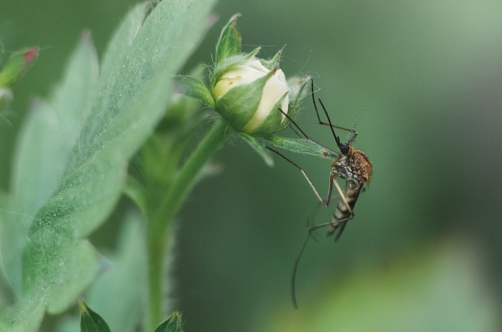 Photograph by Динара Зуйкова