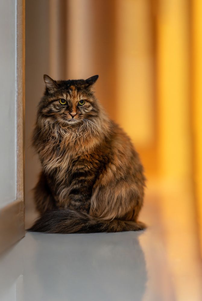 Photograph by Артем Падалко