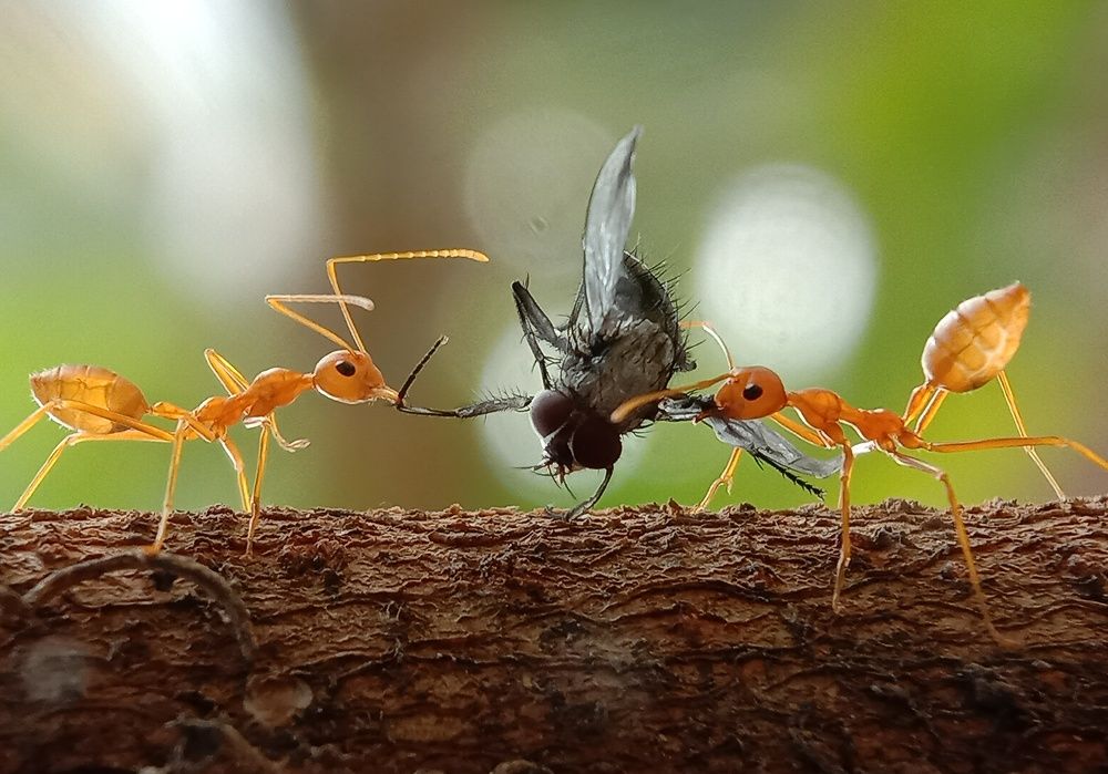 Photograph by Subhajit Jana