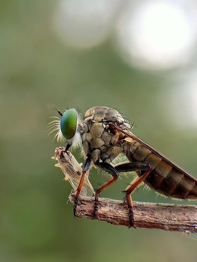 Photograph by Subhajit Jana