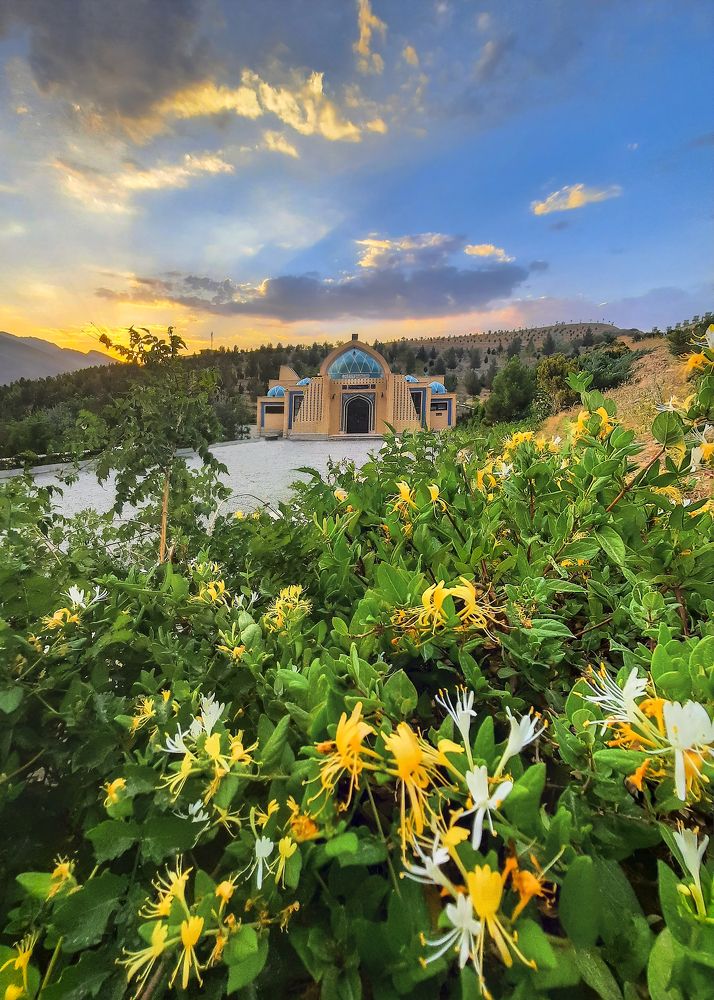 Фотография автора majid arab