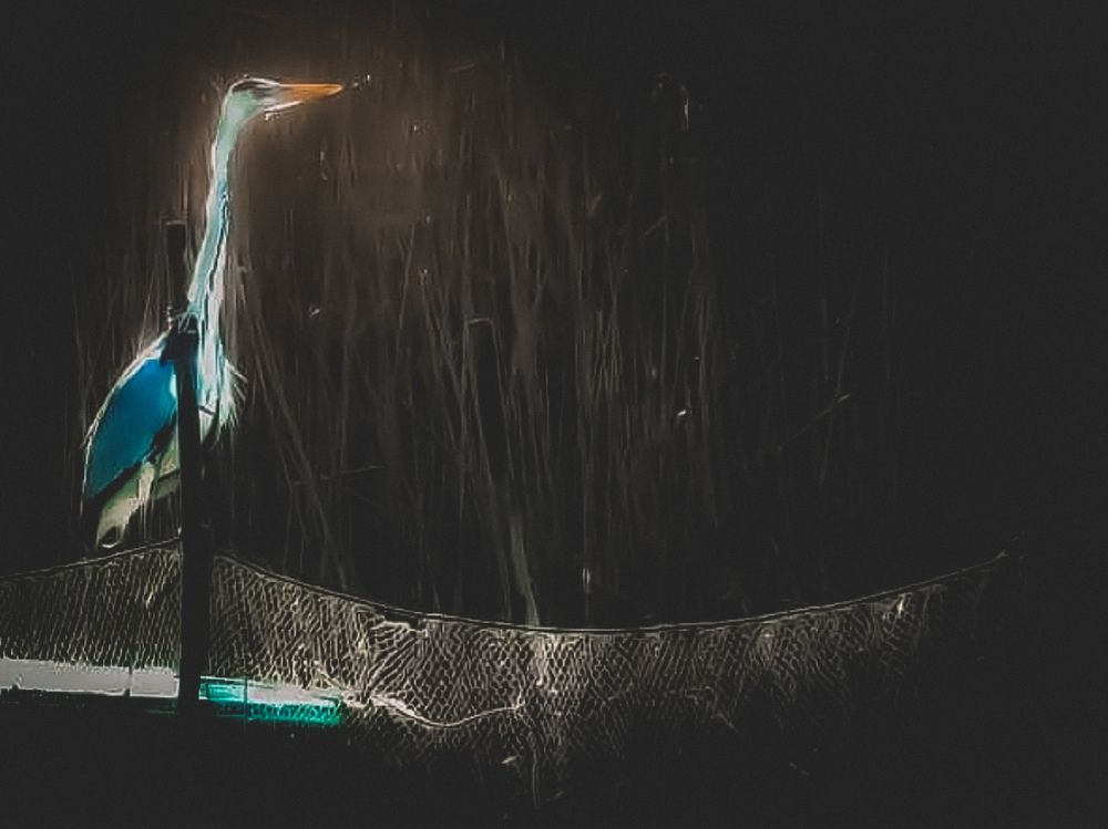 Photograph by Giuseppe Catalano