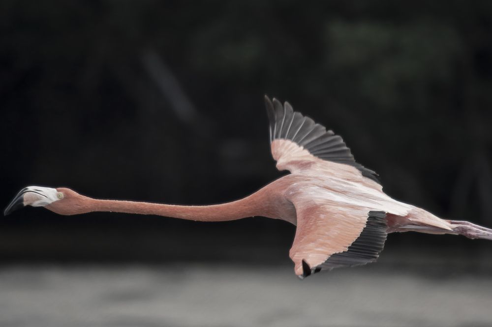 Photograph by Joaquin Silva