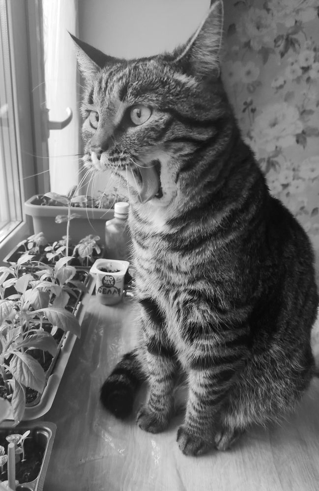 Photograph by Natalia Persidskaia