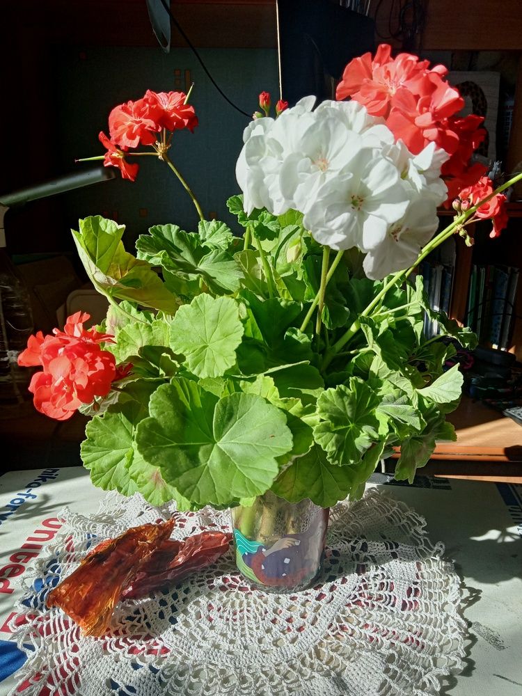 Photograph by Валентина Смирнова