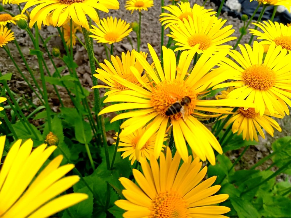 Photograph by Валентина Смирнова