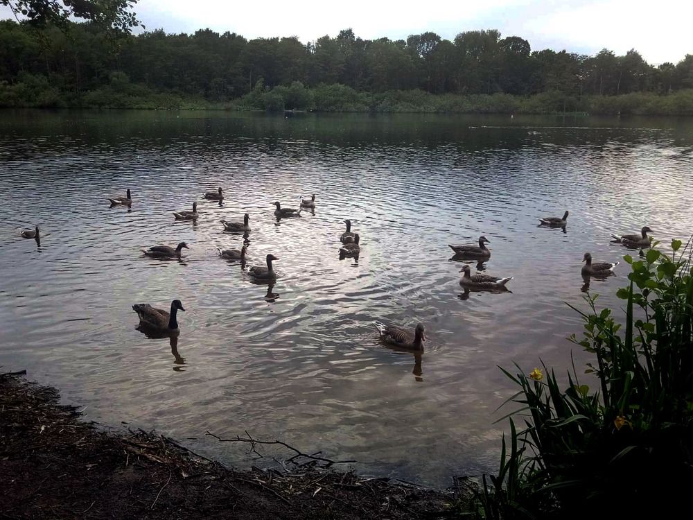 Photograph by Ирина Федорова