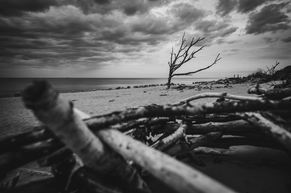 Photograph by Инна Фокина