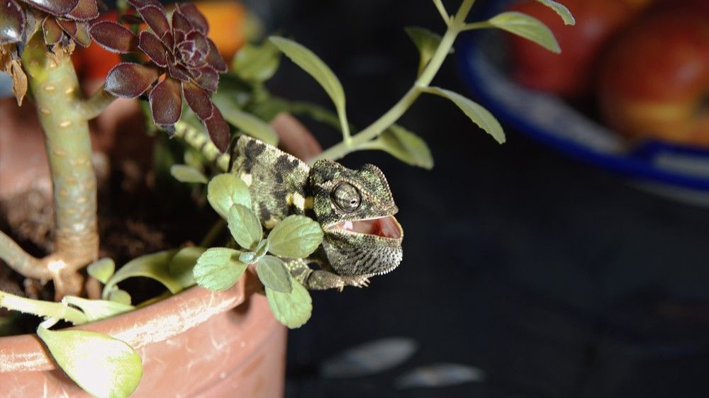 Photograph by Mikhail Levin