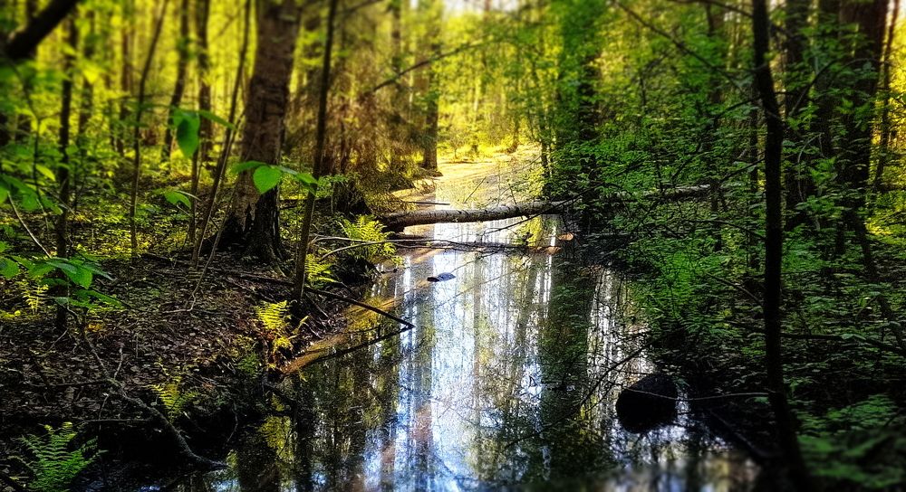 Photograph by Epp Tappel