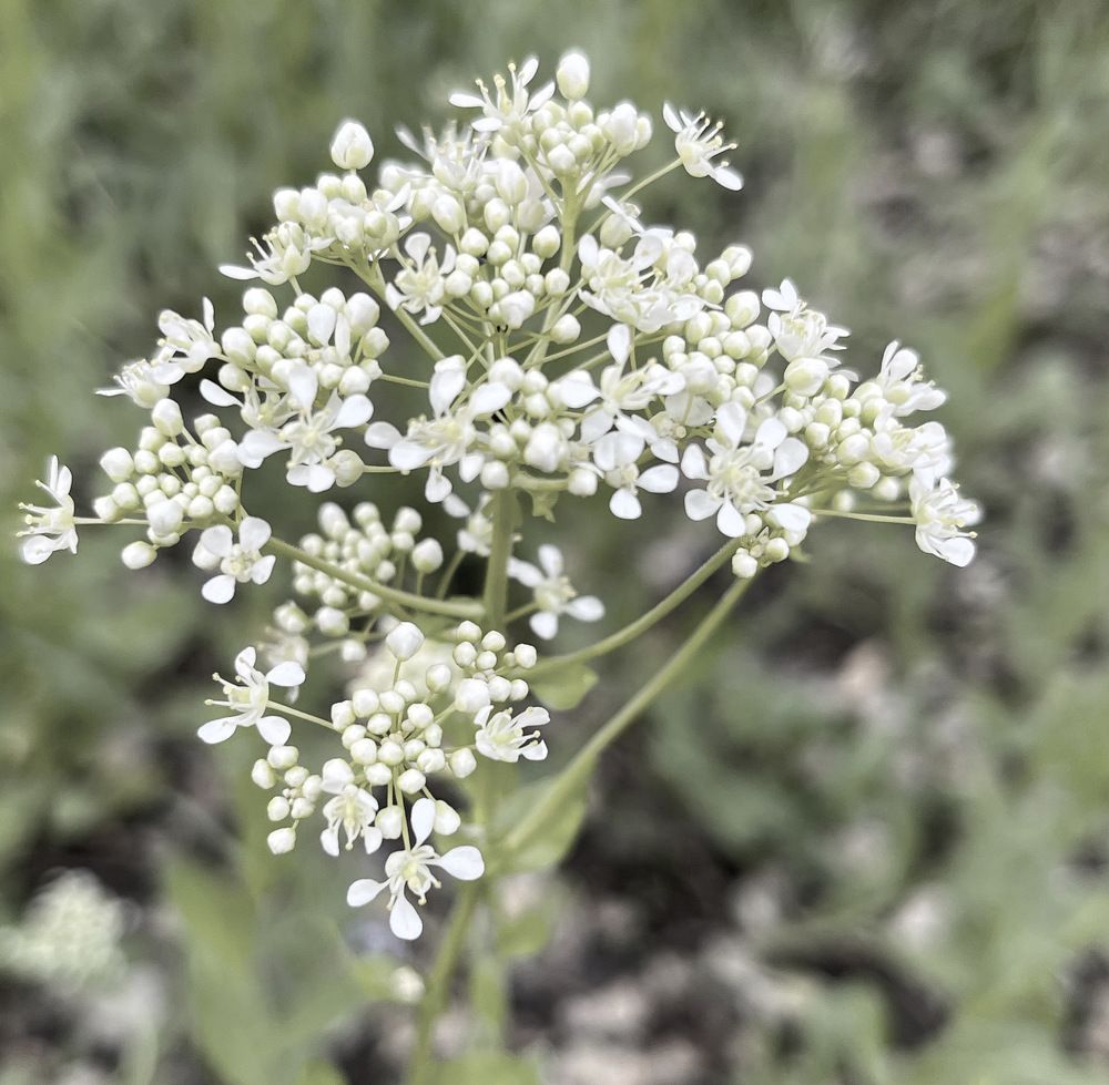 Photograph by Екатерина