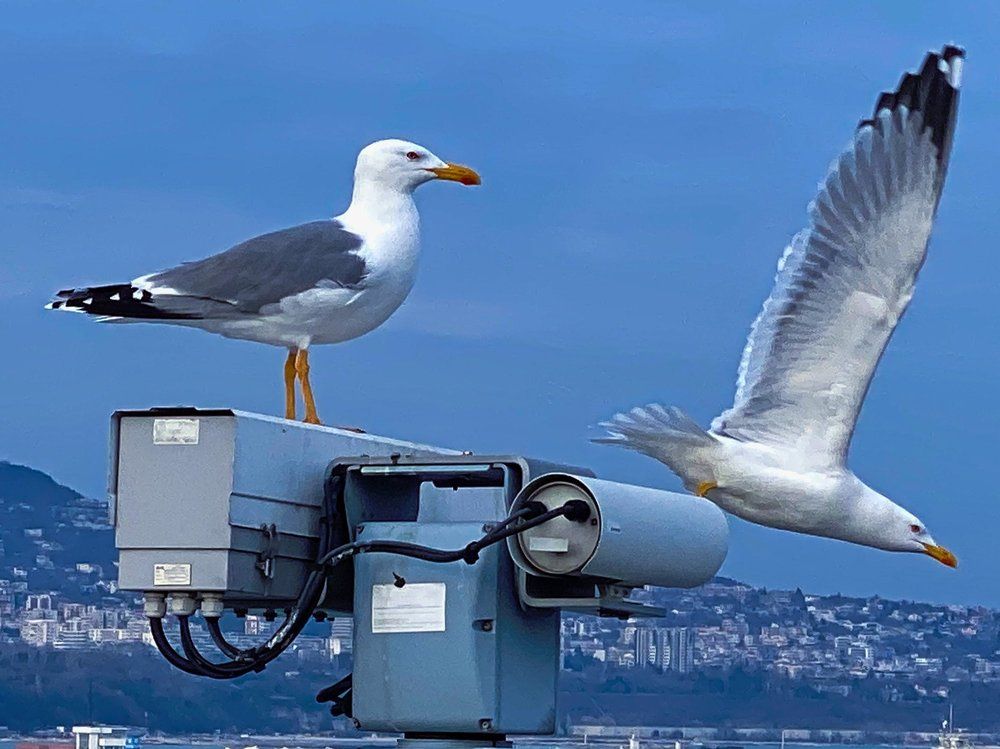 Photograph by Stoyan Baev