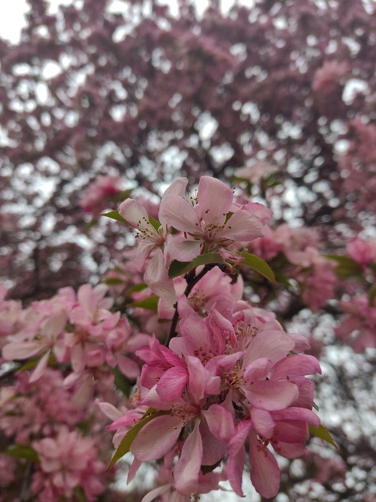 Photograph by Андрей Головин