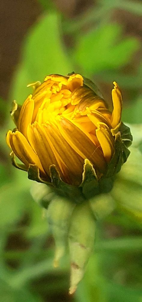 Photograph by Евгения Ульянова