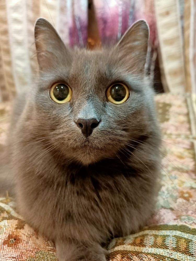 Photograph by Софья Филиппова