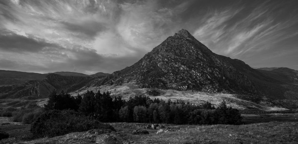 Photograph by Krzysztof Jakubas