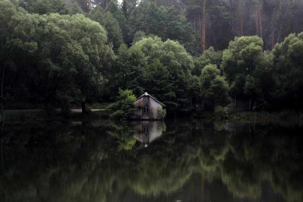 Photograph by Sветлана Афонина