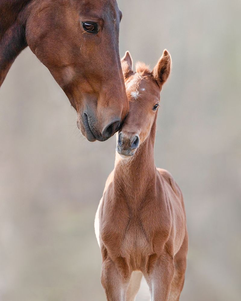 Photograph by Helena