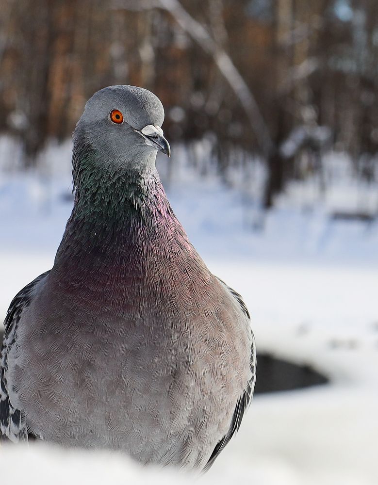 Photograph by Екатерина Кицмен