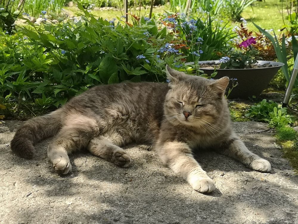 Photograph by Екатерина Кузьмина