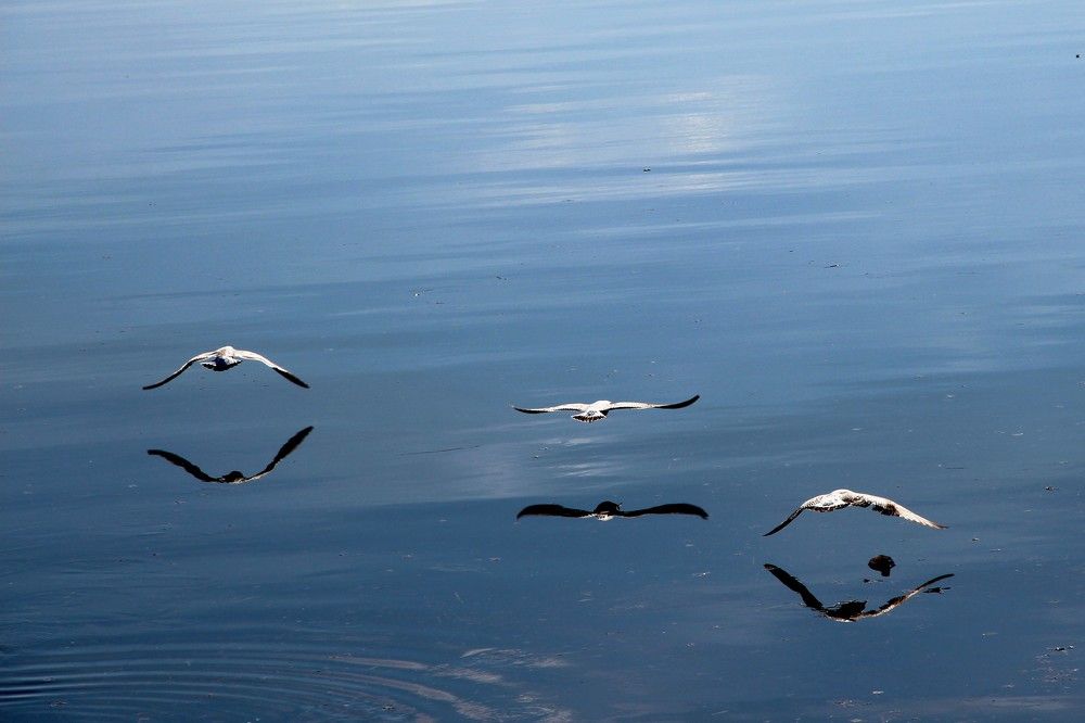 Photograph by Валентина