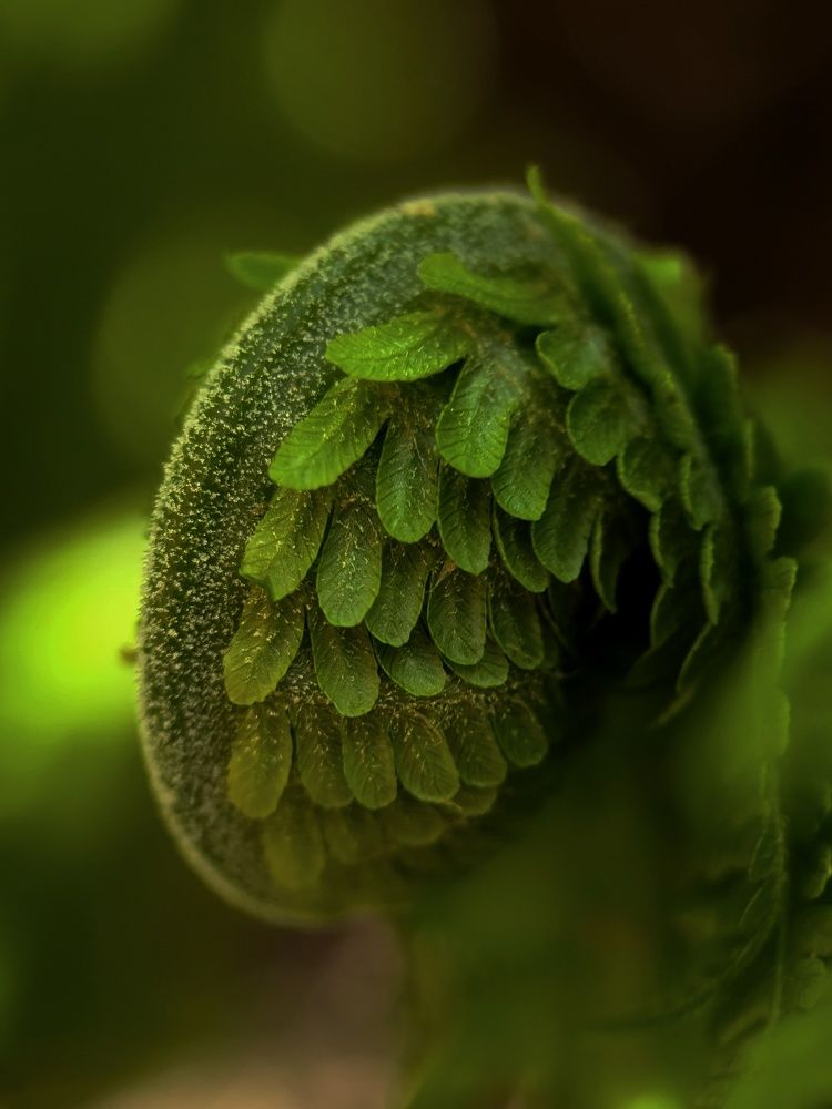 Photograph by Светлана Смирнова