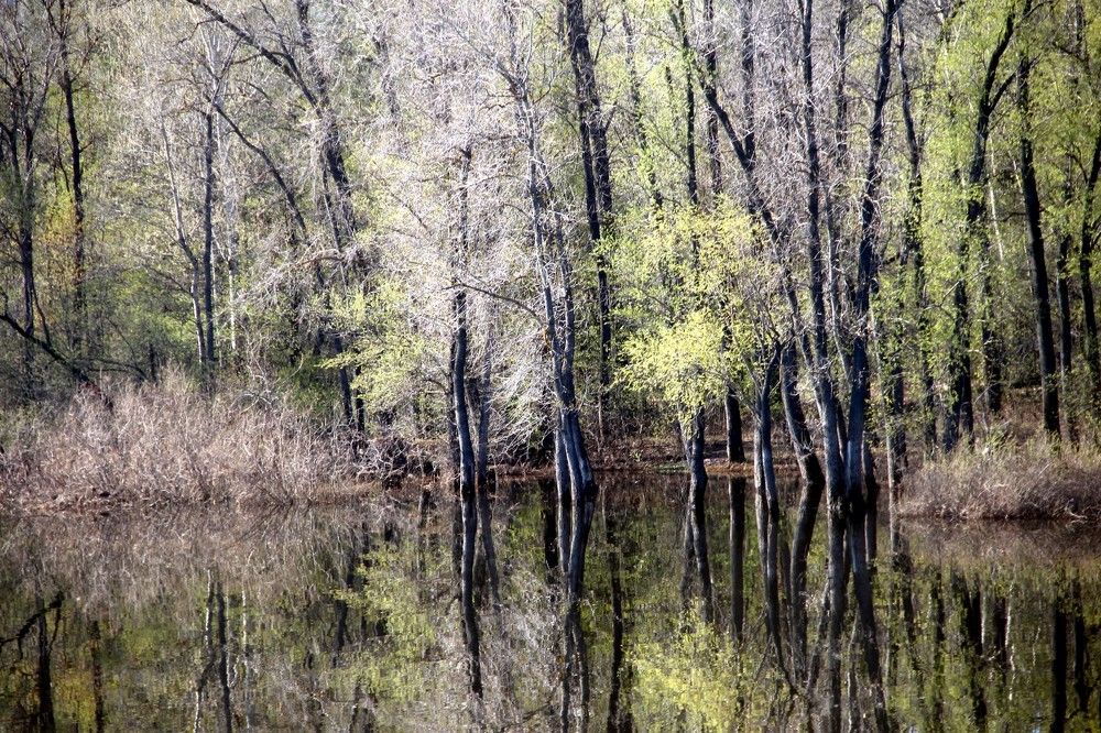 Photograph by Валентина