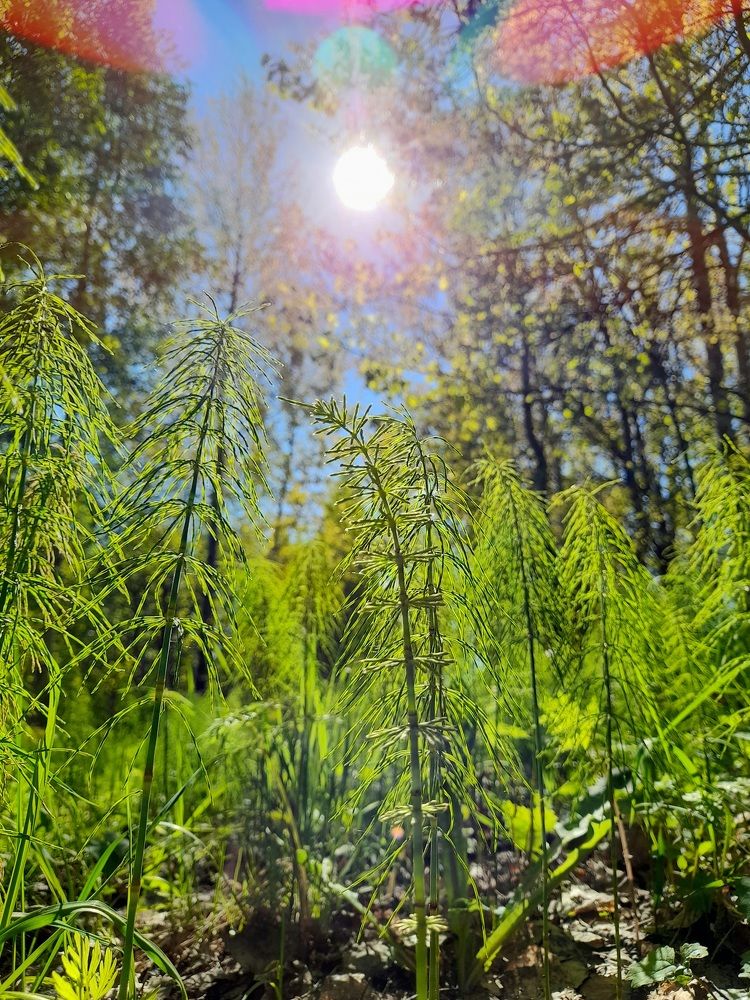 Photograph by Преснухина Екатерина