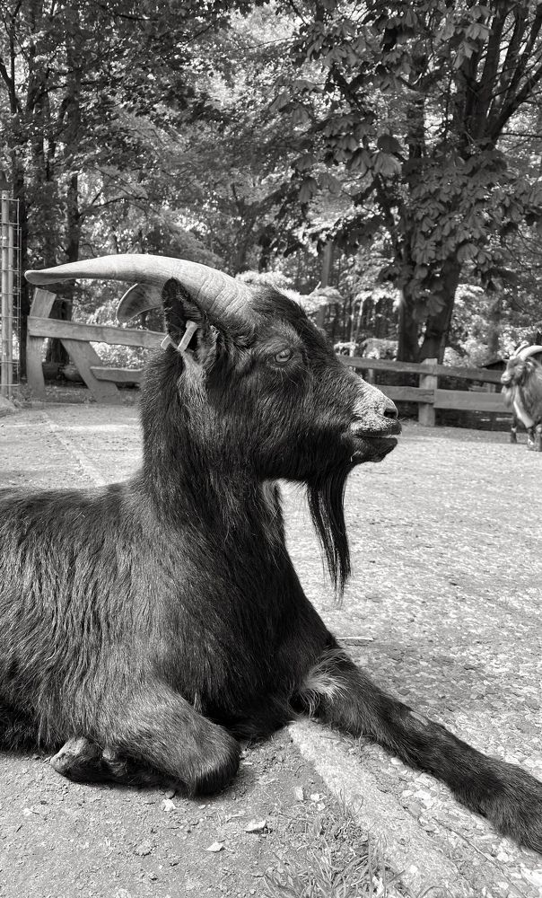 Фотография автора Ramin Ismayilov