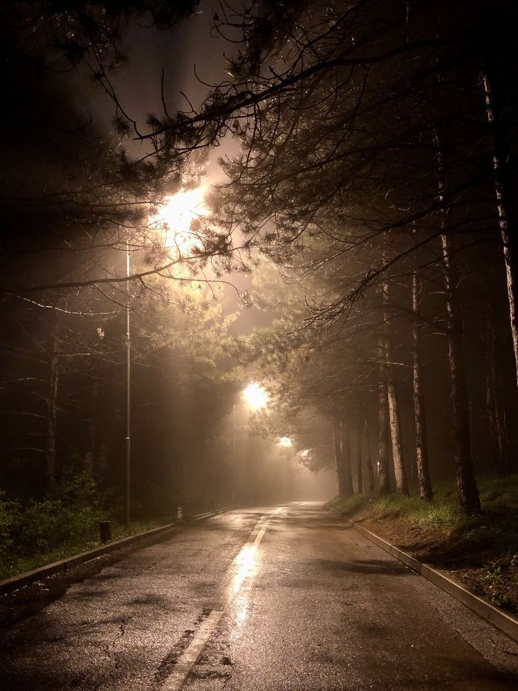 Photograph by Елена Богданова