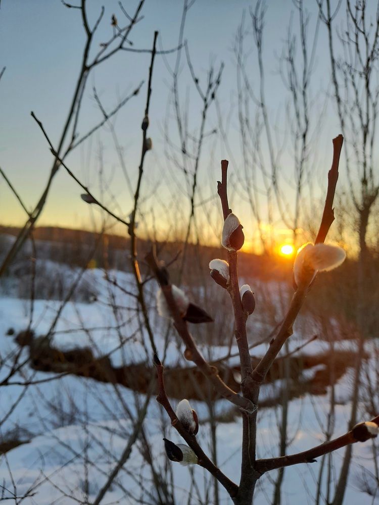 Photograph by Преснухина Екатерина