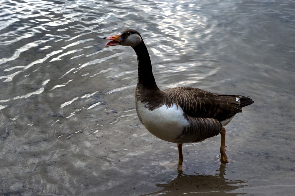 Photograph by Ирина Федорова