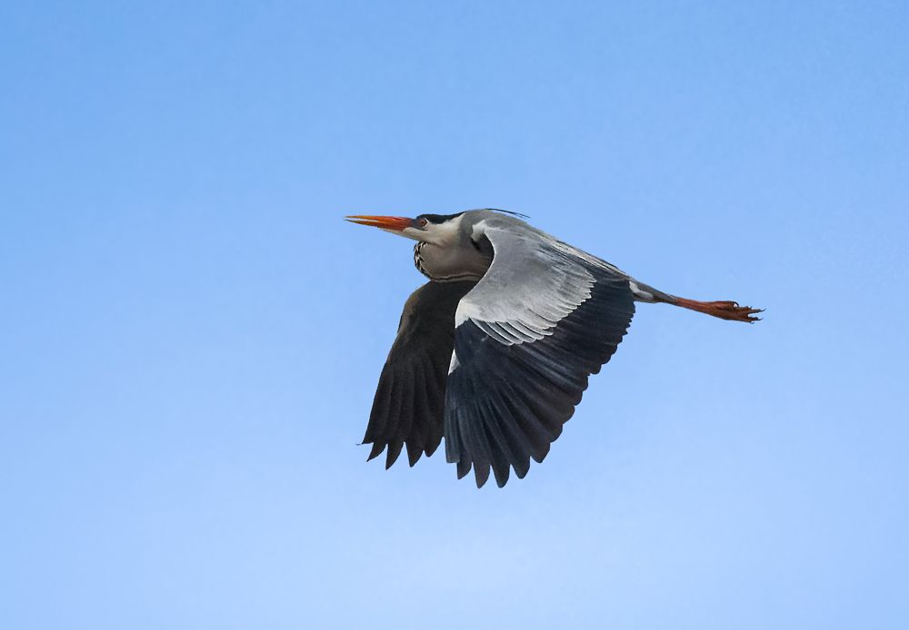 Photograph by олег кирюшкин