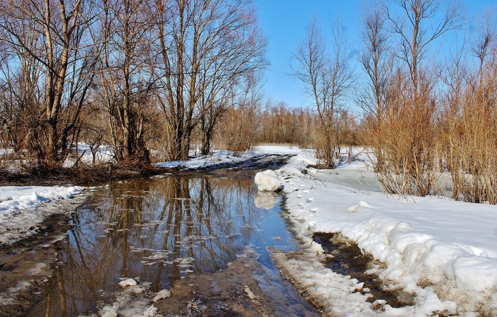 Photograph by Анна Восковых
