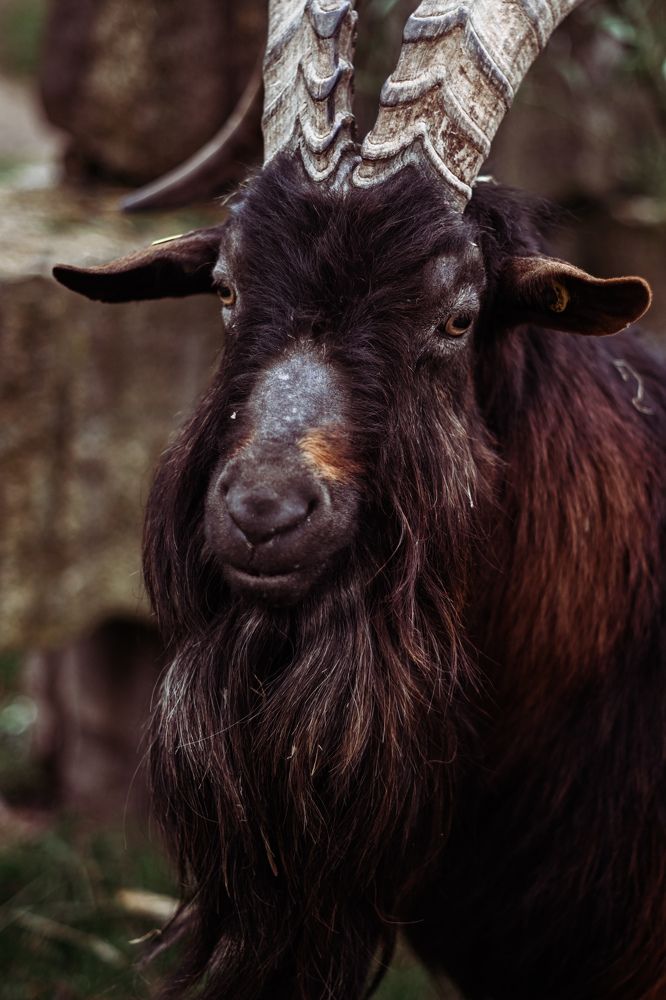 Photograph by Kate Blum