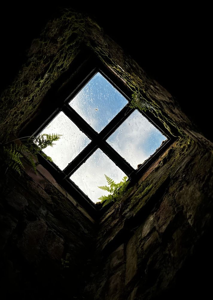 Photograph by Надежда Золотарёва