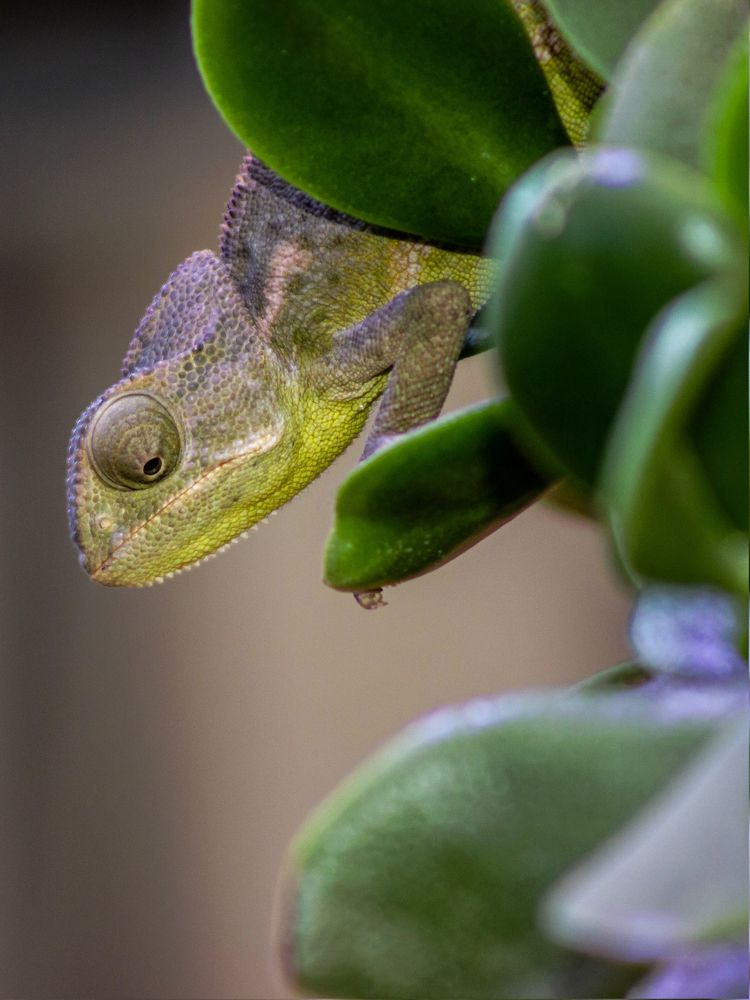 Photograph by Mikhail Levin