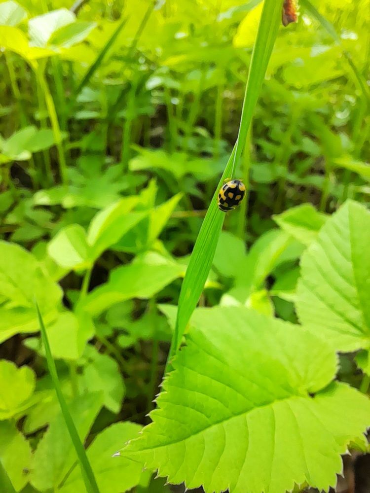 Photograph by Преснухина Екатерина