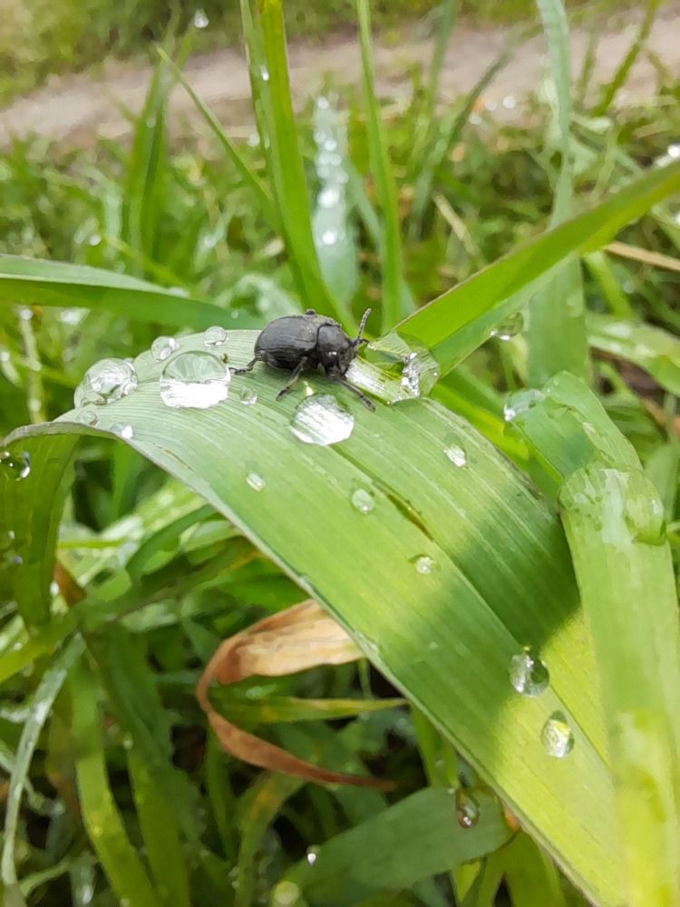 Photograph by Преснухина Екатерина